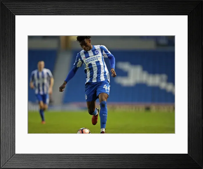 Framed Print : Brighton and Hove Albion vs. Milton Keynes Dons: FA Cup Third Round Battle at American Express Community Stadium (January 7, 2017) Framed Print : Brighton and Hove Albion vs. Milton Keynes Dons: FA Cup Third Round Battle at American Express Community Stadium (January 7, 2017)