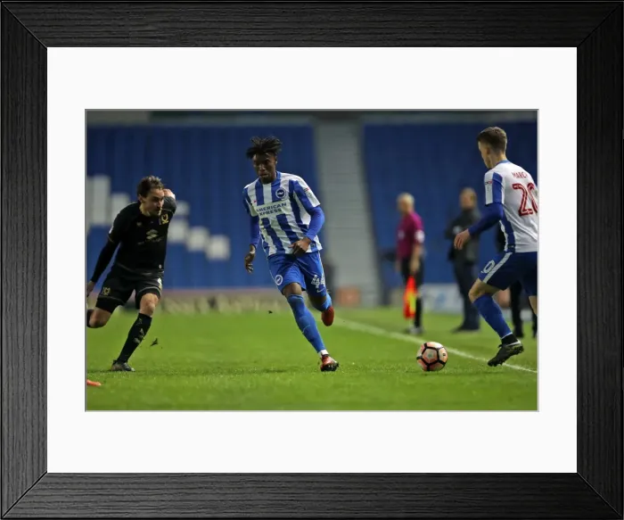 Framed Print : Brighton and Hove Albion vs Milton Keynes Dons: FA Cup 3rd Round Battle at American Express Community Stadium (January 7, 2017) Framed Print : Brighton and Hove Albion vs Milton Keynes Dons: FA Cup 3rd Round Battle at American Express Community Stadium (January 7, 2017)