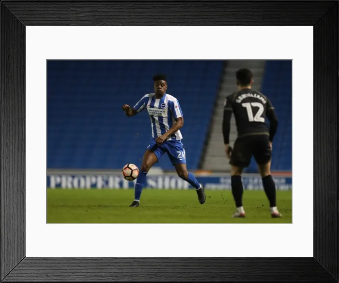 Framed Print : Brighton and Hove Albion vs Milton Keynes Dons: FA Cup 3rd Round Clash at American Express Community Stadium (07JAN17) Framed Print : Brighton and Hove Albion vs Milton Keynes Dons: FA Cup 3rd Round Clash at American Express Community Stadium (07JAN17)