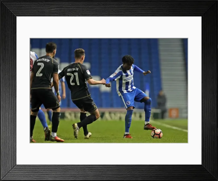 Framed Print : Brighton and Hove Albion vs Milton Keynes Dons: FA Cup Third Round Battle at American Express Community Stadium (January 7, 2017) Framed Print : Brighton and Hove Albion vs Milton Keynes Dons: FA Cup Third Round Battle at American Express Community Stadium (January 7, 2017)