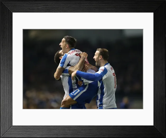 Framed Print : Brighton and Hove Albion vs. Sheffield Wednesday: A Championship Showdown (January 2017)