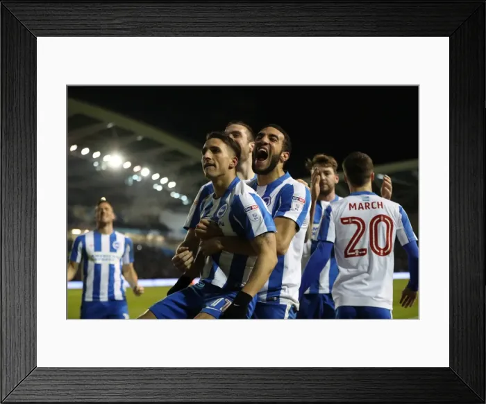 Framed Print : Intense Championship Showdown: Brighton & Hove Albion vs. Sheffield Wednesday (January 2017) Framed Print : Intense Championship Showdown: Brighton & Hove Albion vs. Sheffield Wednesday (January 2017)