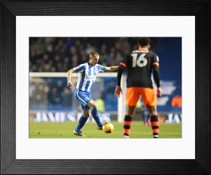 Framed Print : Intense Championship Showdown: Brighton & Hove Albion vs. Sheffield Wednesday (January 2017) Framed Print : Intense Championship Showdown: Brighton & Hove Albion vs. Sheffield Wednesday (January 2017)