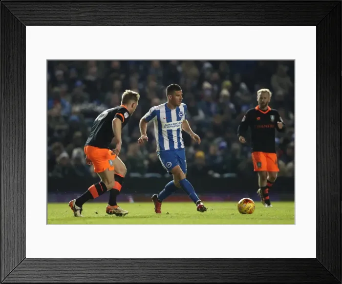 Framed Print : Intense Championship Showdown: Brighton & Hove Albion vs. Sheffield Wednesday (January 2017) Framed Print : Intense Championship Showdown: Brighton & Hove Albion vs. Sheffield Wednesday (January 2017)