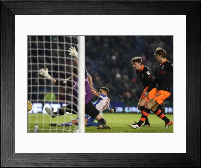 Framed Print : Intense Championship Showdown: Brighton and Hove Albion vs. Sheffield Wednesday (January 2017) Framed Print : Intense Championship Showdown: Brighton and Hove Albion vs. Sheffield Wednesday (January 2017)