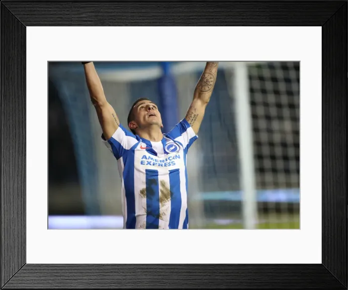 Framed Print : Intense Championship Showdown: Brighton & Hove Albion vs. Sheffield Wednesday (January 2017) Framed Print : Intense Championship Showdown: Brighton & Hove Albion vs. Sheffield Wednesday (January 2017)