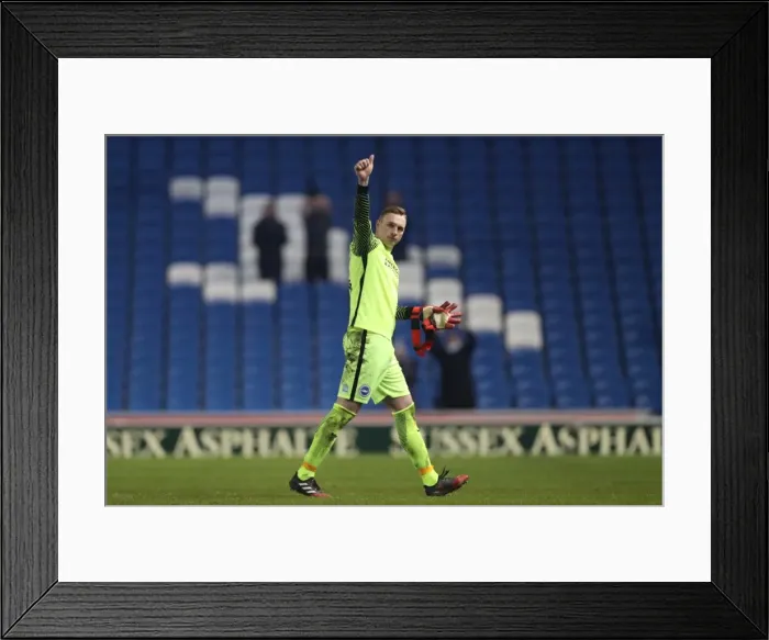 Framed Print : Intense Championship Showdown: Brighton and Hove Albion vs. Sheffield Wednesday (January 2017) Framed Print : Intense Championship Showdown: Brighton and Hove Albion vs. Sheffield Wednesday (January 2017)