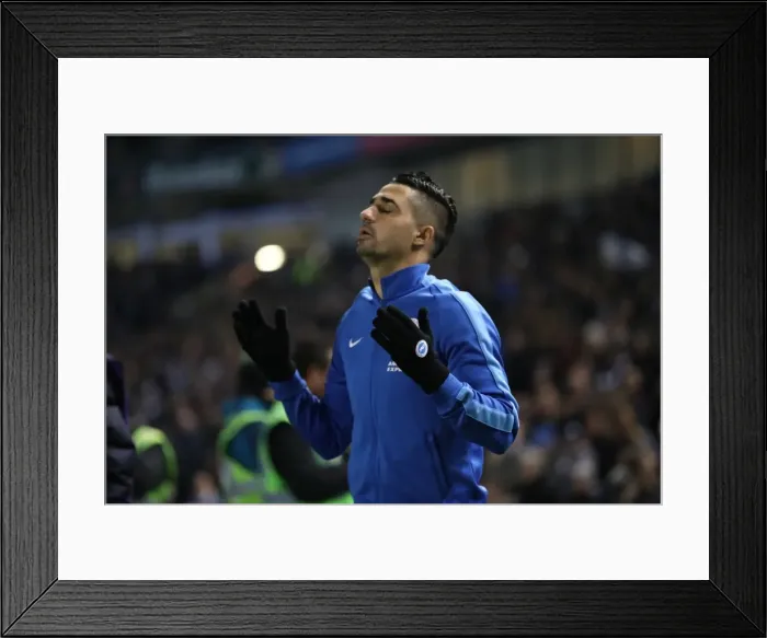 Framed Print : Brighton and Hove Albion v Cardiff City EFL Sky Bet Championship 24JAN17 Framed Print : Brighton and Hove Albion v Cardiff City EFL Sky Bet Championship 24JAN17