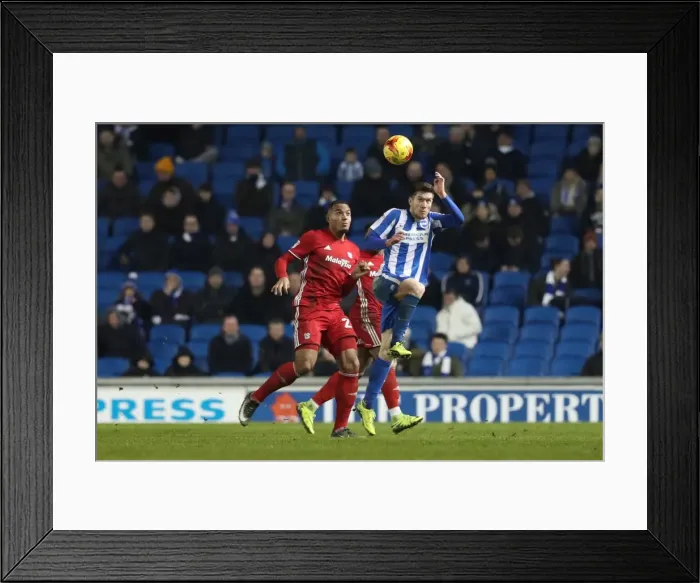 Framed Print : Intense Championship Showdown: Brighton and Hove Albion vs. Cardiff City (24Jan17) Framed Print : Intense Championship Showdown: Brighton and Hove Albion vs. Cardiff City (24Jan17)