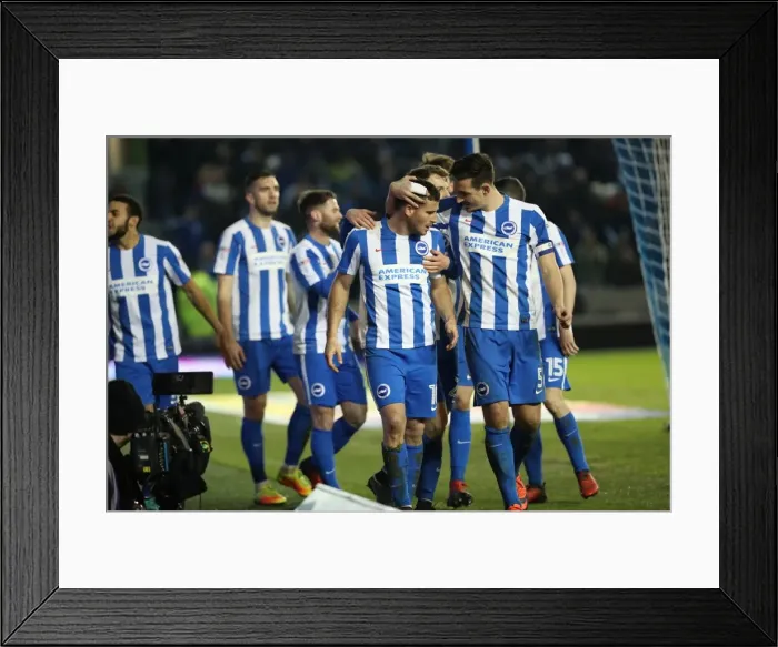 Framed Print : Championship Clash: Brighton and Hove Albion vs. Cardiff City (January 2017) Framed Print : Championship Clash: Brighton and Hove Albion vs. Cardiff City (January 2017)