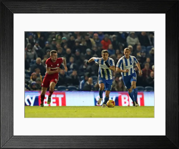 Framed Print : Intense Championship Showdown: Brighton and Hove Albion vs. Cardiff City (24Jan17) Framed Print : Intense Championship Showdown: Brighton and Hove Albion vs. Cardiff City (24Jan17)