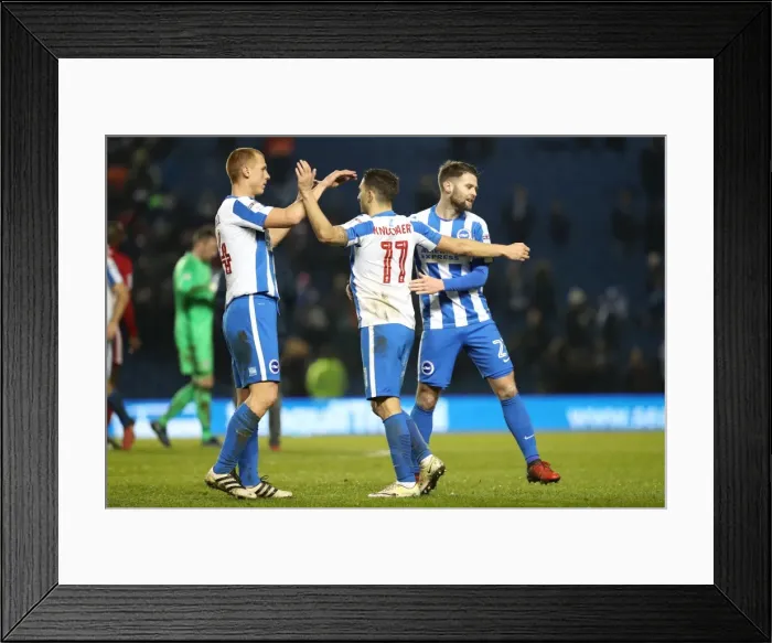 Framed Print : Intense Championship Showdown: Brighton and Hove Albion vs. Cardiff City (January 2017) Framed Print : Intense Championship Showdown: Brighton and Hove Albion vs. Cardiff City (January 2017)