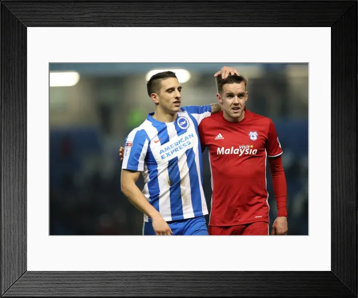 Framed Print : Intense Championship Showdown: Brighton & Hove Albion vs. Cardiff City (January 2017) Framed Print : Intense Championship Showdown: Brighton & Hove Albion vs. Cardiff City (January 2017)