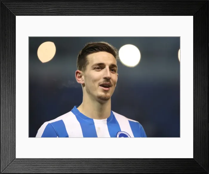 Framed Print : Brighton and Hove Albion vs. Cardiff City: Intense Championship Clash at American Express Community Stadium (24Jan17) Framed Print : Brighton and Hove Albion vs. Cardiff City: Intense Championship Clash at American Express Community Stadium (24Jan17)