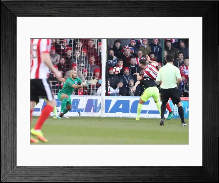 Framed Print : Brighton and Hove Albion vs. Lincoln City: FA Cup 4th Round Battle at Sincil Bank (28JAN17) Framed Print : Brighton and Hove Albion vs. Lincoln City: FA Cup 4th Round Battle at Sincil Bank (28JAN17)