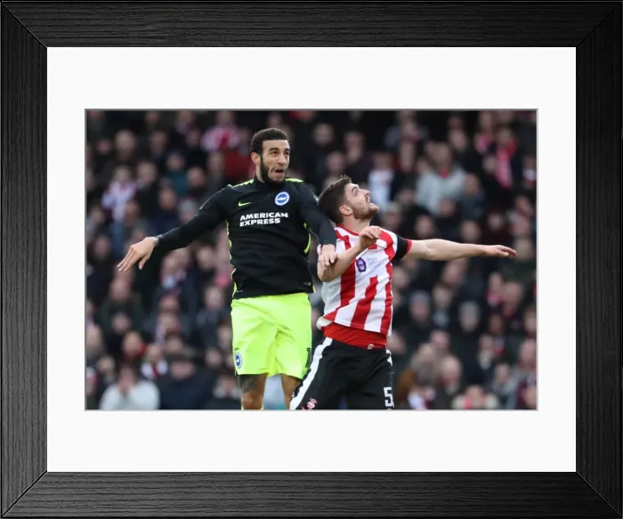 Framed Print : Brighton and Hove Albion vs. Lincoln City: FA Cup Fourth Round Clash at Sincil Bank (28JAN17) Framed Print : Brighton and Hove Albion vs. Lincoln City: FA Cup Fourth Round Clash at Sincil Bank (28JAN17)
