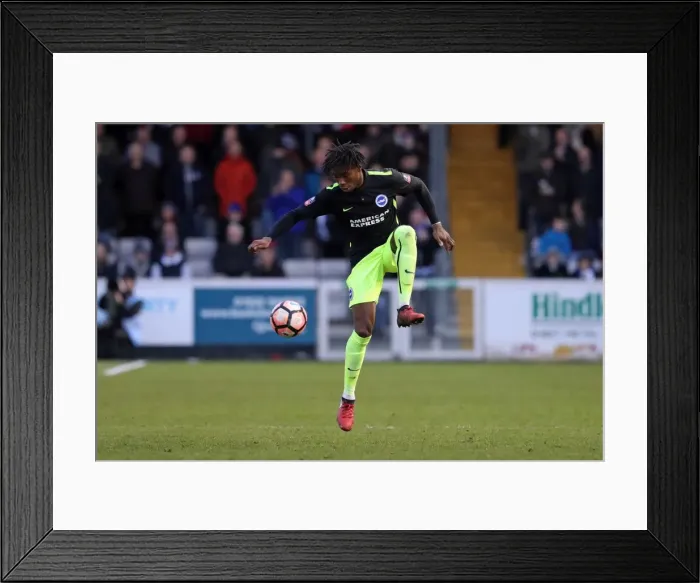 Framed Print : Brighton and Hove Albion vs. Lincoln City: FA Cup 4th Round Battle at Sincil Bank (28JAN17) Framed Print : Brighton and Hove Albion vs. Lincoln City: FA Cup 4th Round Battle at Sincil Bank (28JAN17)