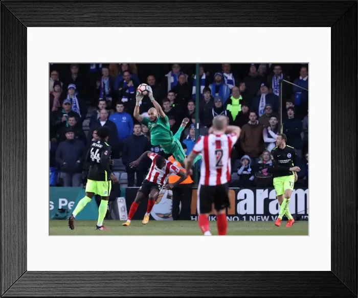 Framed Print : Brighton and Hove Albion vs. Lincoln City: FA Cup 4th Round Battle at Sincil Bank (28JAN17) Framed Print : Brighton and Hove Albion vs. Lincoln City: FA Cup 4th Round Battle at Sincil Bank (28JAN17)
