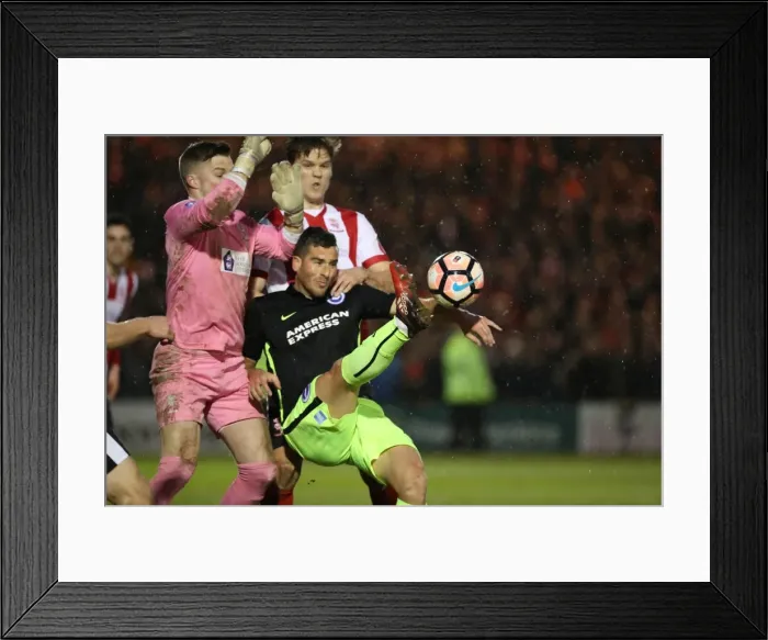 Framed Print : Brighton and Hove Albion vs. Lincoln City: FA Cup Fourth Round Clash at Sincil Bank (28JAN17) Framed Print : Brighton and Hove Albion vs. Lincoln City: FA Cup Fourth Round Clash at Sincil Bank (28JAN17)