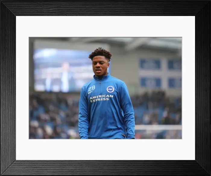 Framed Print : Brighton and Hove Albion vs. Burton Albion: EFL Sky Bet Championship Showdown at American Express Community Stadium (February 11, 2017) Framed Print : Brighton and Hove Albion vs. Burton Albion: EFL Sky Bet Championship Showdown at American Express Community Stadium (February 11, 2017)