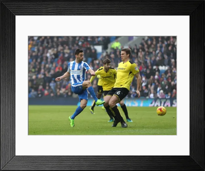 Framed Print : Brighton and Hove Albion vs. Burton Albion: EFL Sky Bet Championship Showdown at American Express Community Stadium (February 11, 2017) Framed Print : Brighton and Hove Albion vs. Burton Albion: EFL Sky Bet Championship Showdown at American Express Community Stadium (February 11, 2017)