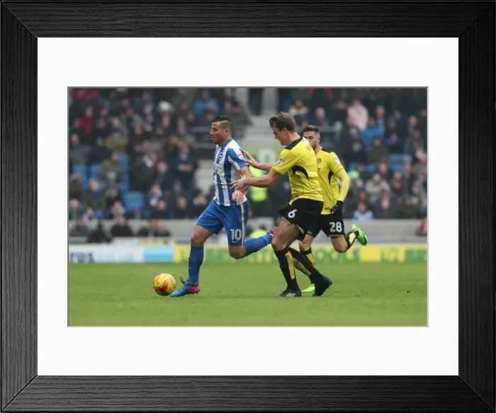 Framed Print : Brighton and Hove Albion vs. Burton Albion: EFL Sky Bet Championship Showdown at American Express Community Stadium (February 11, 2017) Framed Print : Brighton and Hove Albion vs. Burton Albion: EFL Sky Bet Championship Showdown at American Express Community Stadium (February 11, 2017)