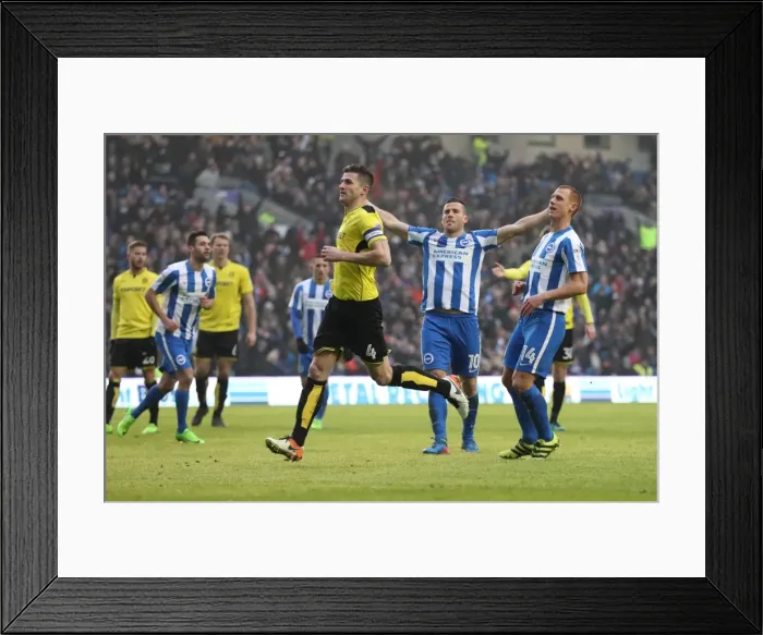 Framed Print : Brighton and Hove Albion vs. Burton Albion: EFL Sky Bet Championship Showdown at American Express Community Stadium (February 11, 2017) Framed Print : Brighton and Hove Albion vs. Burton Albion: EFL Sky Bet Championship Showdown at American Express Community Stadium (February 11, 2017)