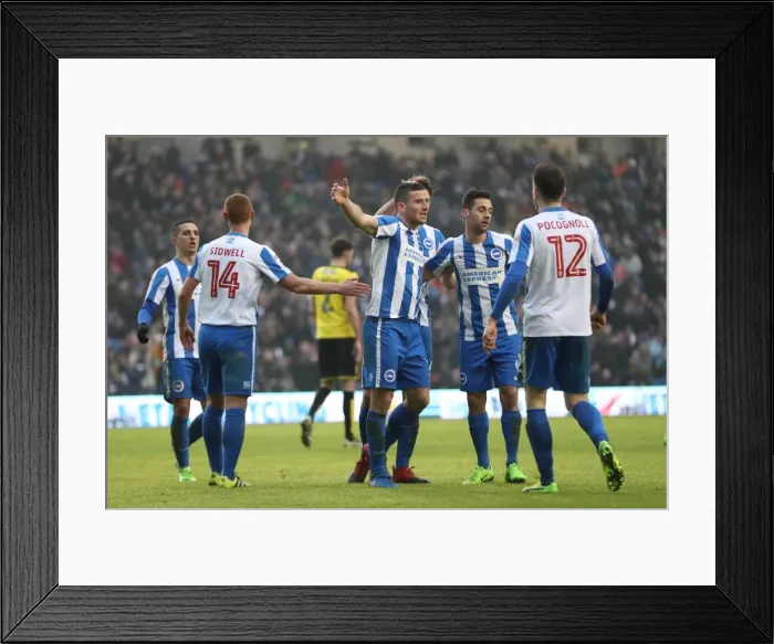 Framed Print : Brighton and Hove Albion vs. Burton Albion: EFL Sky Bet Championship Showdown at American Express Community Stadium (February 11, 2017) Framed Print : Brighton and Hove Albion vs. Burton Albion: EFL Sky Bet Championship Showdown at American Express Community Stadium (February 11, 2017)