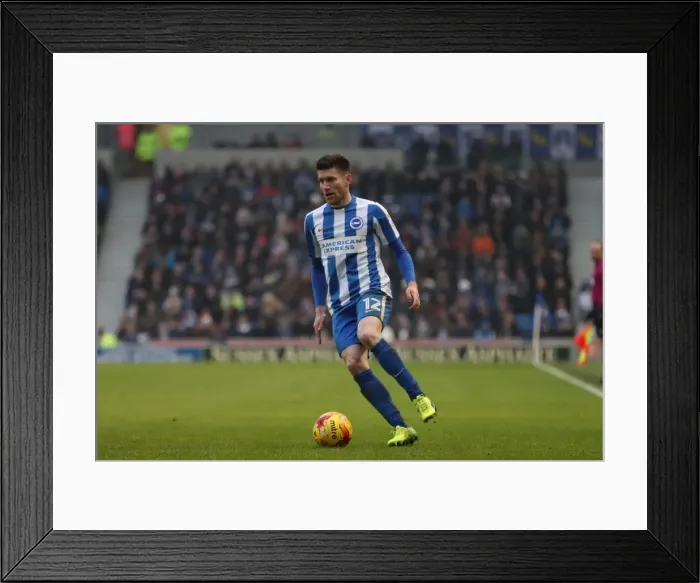 Framed Print : Brighton and Hove Albion vs. Burton Albion: EFL Sky Bet Championship Showdown at American Express Community Stadium (February 11, 2017) Framed Print : Brighton and Hove Albion vs. Burton Albion: EFL Sky Bet Championship Showdown at American Express Community Stadium (February 11, 2017)