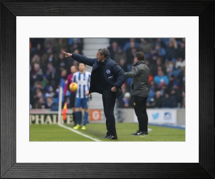 Framed Print : Brighton and Hove Albion vs. Burton Albion: EFL Sky Bet Championship Showdown at American Express Community Stadium (11th February 2017) Framed Print : Brighton and Hove Albion vs. Burton Albion: EFL Sky Bet Championship Showdown at American Express Community Stadium (11th February 2017)