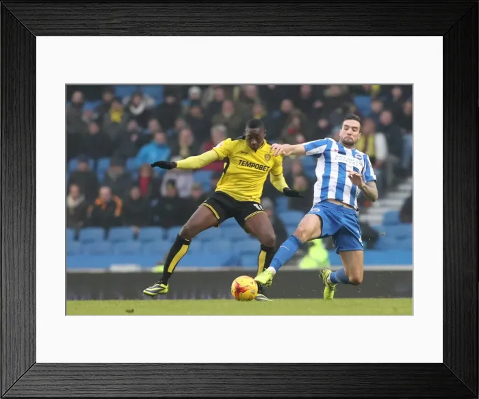 Framed Print : Intense Championship Showdown: Brighton & Hove Albion vs. Burton Albion (11FEB17) Framed Print : Intense Championship Showdown: Brighton & Hove Albion vs. Burton Albion (11FEB17)