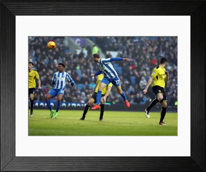 Framed Print : Brighton & Hove Albion vs. Burton Albion: EFL Sky Bet Championship Showdown at American Express Community Stadium (February 11, 2017)