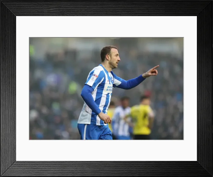 Framed Print : Brighton and Hove Albion vs Burton Albion: EFL Sky Bet Championship Showdown at American Express Community Stadium (February 11, 2017) Framed Print : Brighton and Hove Albion vs Burton Albion: EFL Sky Bet Championship Showdown at American Express Community Stadium (February 11, 2017)