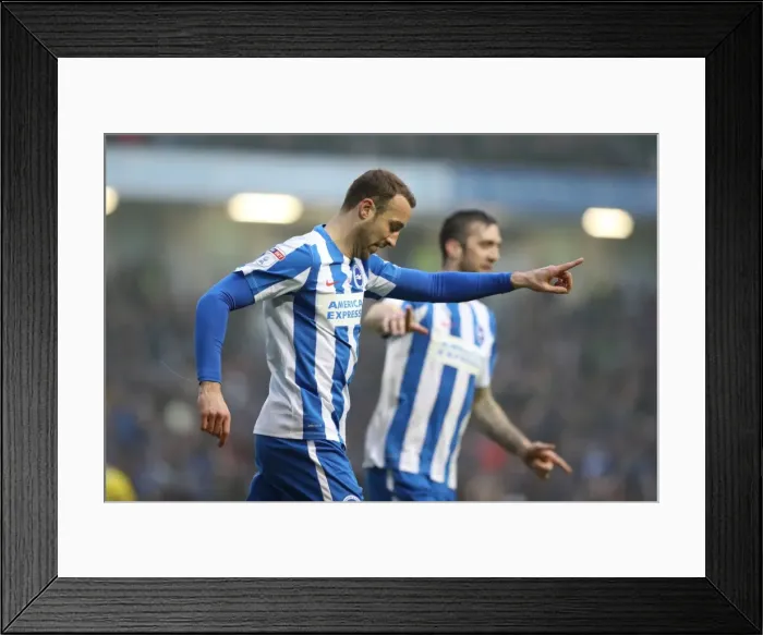 Framed Print : Brighton and Hove Albion vs. Burton Albion: EFL Sky Bet Championship Showdown at American Express Community Stadium (February 11, 2017) Framed Print : Brighton and Hove Albion vs. Burton Albion: EFL Sky Bet Championship Showdown at American Express Community Stadium (February 11, 2017)