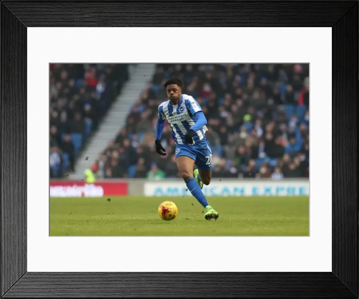 Framed Print : Brighton and Hove Albion vs. Burton Albion: EFL Sky Bet Championship Showdown at American Express Community Stadium (February 11, 2017) Framed Print : Brighton and Hove Albion vs. Burton Albion: EFL Sky Bet Championship Showdown at American Express Community Stadium (February 11, 2017)
