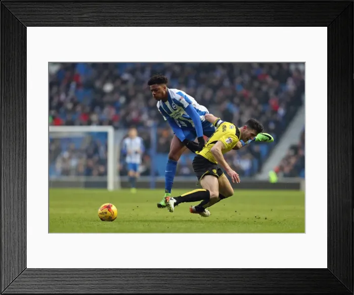 Framed Print : Brighton and Hove Albion vs. Burton Albion: EFL Sky Bet Championship Showdown at American Express Community Stadium (February 11, 2017) Framed Print : Brighton and Hove Albion vs. Burton Albion: EFL Sky Bet Championship Showdown at American Express Community Stadium (February 11, 2017)
