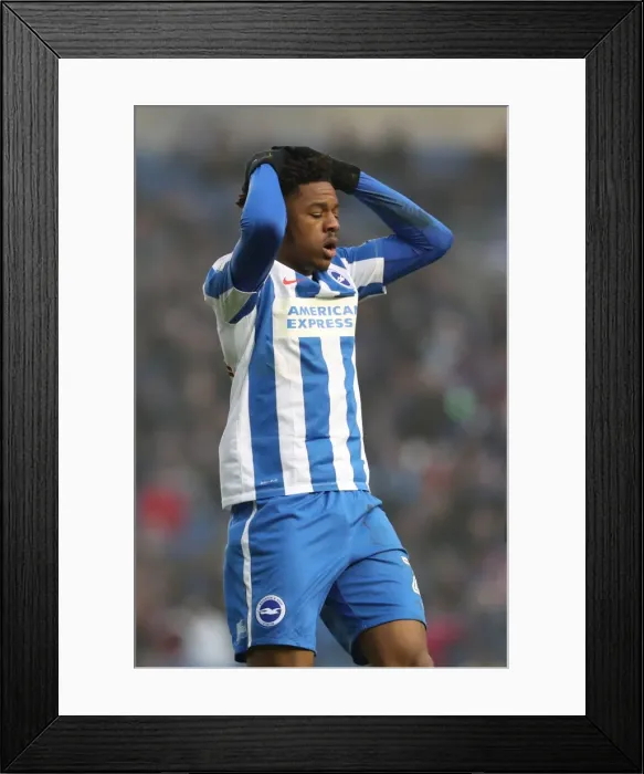 Framed Print : Brighton and Hove Albion vs. Burton Albion: EFL Sky Bet Championship Showdown at American Express Community Stadium (February 11, 2017) Framed Print : Brighton and Hove Albion vs. Burton Albion: EFL Sky Bet Championship Showdown at American Express Community Stadium (February 11, 2017)