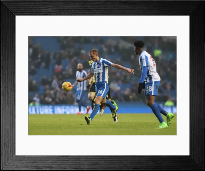 Framed Print : Brighton and Hove Albion vs. Burton Albion: EFL Sky Bet Championship Showdown at American Express Community Stadium (February 11, 2017) Framed Print : Brighton and Hove Albion vs. Burton Albion: EFL Sky Bet Championship Showdown at American Express Community Stadium (February 11, 2017)