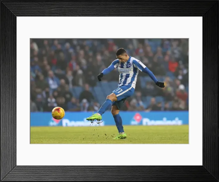 Framed Print : Brighton and Hove Albion vs. Burton Albion: EFL Sky Bet Championship Showdown at American Express Community Stadium (February 11, 2017)