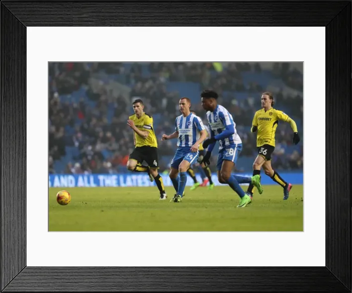 Framed Print : Brighton and Hove Albion vs. Burton Albion: EFL Sky Bet Championship Showdown at American Express Community Stadium (11th February 2017) Framed Print : Brighton and Hove Albion vs. Burton Albion: EFL Sky Bet Championship Showdown at American Express Community Stadium (11th February 2017)