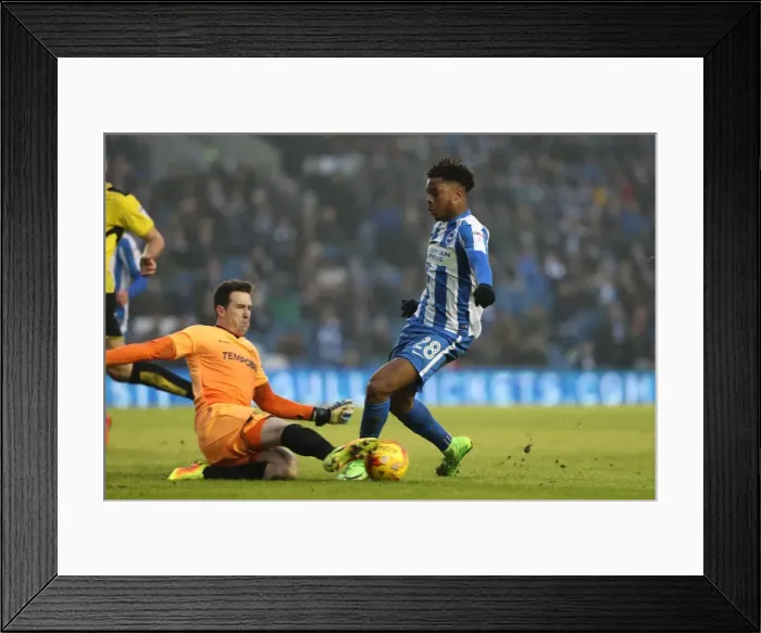 Framed Print : Brighton and Hove Albion vs. Burton Albion: EFL Sky Bet Championship Showdown at American Express Community Stadium (February 11, 2017) Framed Print : Brighton and Hove Albion vs. Burton Albion: EFL Sky Bet Championship Showdown at American Express Community Stadium (February 11, 2017)