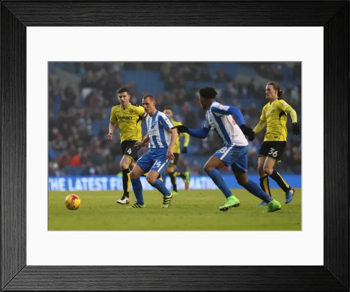 Framed Print : Brighton and Hove Albion vs. Burton Albion: EFL Sky Bet Championship Showdown at American Express Community Stadium (11th February 2017) Framed Print : Brighton and Hove Albion vs. Burton Albion: EFL Sky Bet Championship Showdown at American Express Community Stadium (11th February 2017)