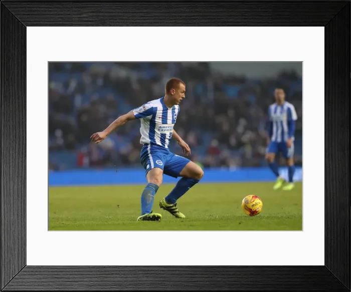 Framed Print : Brighton and Hove Albion vs. Burton Albion: EFL Sky Bet Championship Showdown at American Express Community Stadium (February 11, 2017) Framed Print : Brighton and Hove Albion vs. Burton Albion: EFL Sky Bet Championship Showdown at American Express Community Stadium (February 11, 2017)