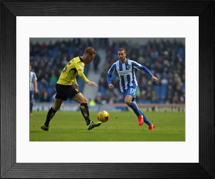 Framed Print : Brighton and Hove Albion vs. Burton Albion: EFL Sky Bet Championship Clash at American Express Community Stadium (February 11, 2017) Framed Print : Brighton and Hove Albion vs. Burton Albion: EFL Sky Bet Championship Clash at American Express Community Stadium (February 11, 2017)