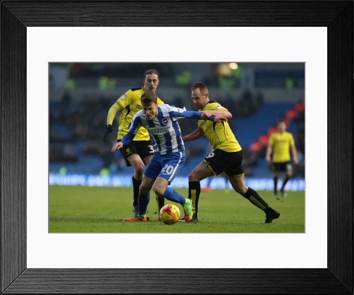 Framed Print : Brighton and Hove Albion vs. Burton Albion: EFL Sky Bet Championship Showdown at American Express Community Stadium (February 11, 2017) Framed Print : Brighton and Hove Albion vs. Burton Albion: EFL Sky Bet Championship Showdown at American Express Community Stadium (February 11, 2017)