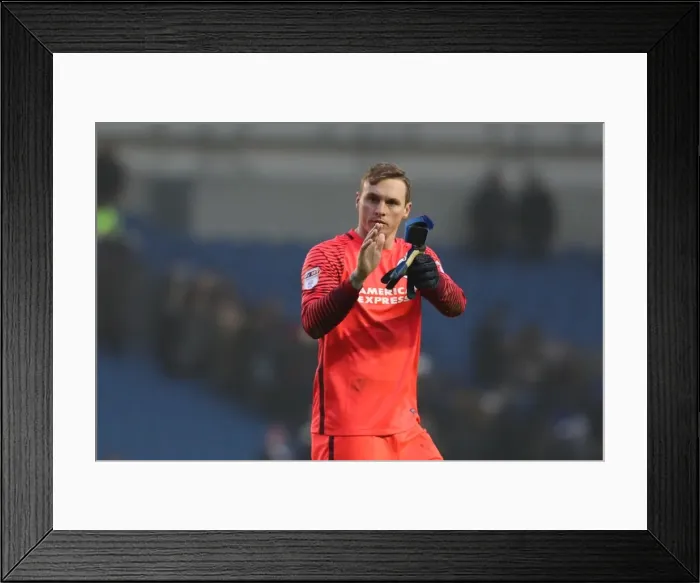 Framed Print : Brighton and Hove Albion vs. Burton Albion: EFL Sky Bet Championship Showdown at American Express Community Stadium (February 11, 2017) Framed Print : Brighton and Hove Albion vs. Burton Albion: EFL Sky Bet Championship Showdown at American Express Community Stadium (February 11, 2017)