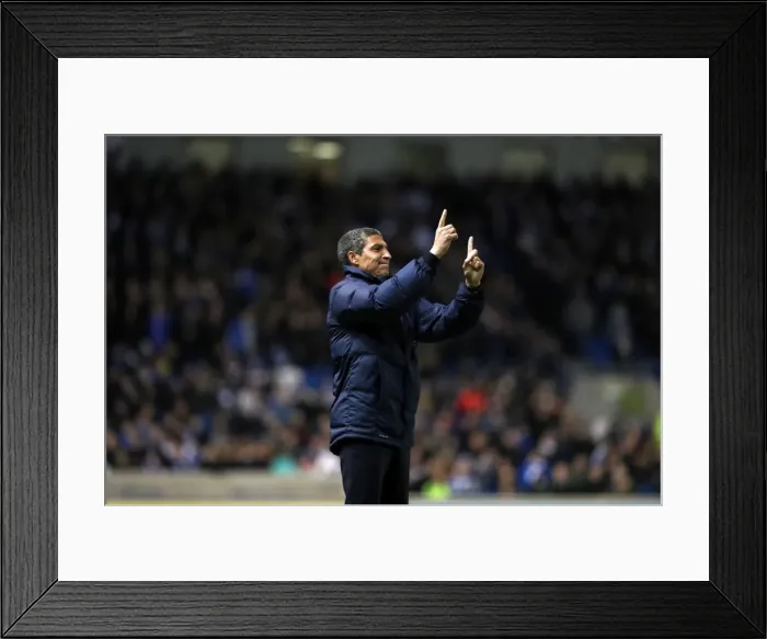 Framed Print : Brighton and Hove Albion v Ipswich Town EFL Sky Bet Championship 14 / 02 / 2017 Framed Print : Brighton and Hove Albion v Ipswich Town EFL Sky Bet Championship 14 / 02 / 2017