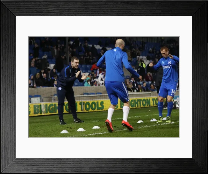 Framed Print : Thomas Barnden: Brighton and Hove Albion's Strength and Conditioning Coach in Action during EFL Championship Match vs Ipswich Town (February 2017) Framed Print : Thomas Barnden: Brighton and Hove Albion's Strength and Conditioning Coach in Action during EFL Championship Match vs Ipswich Town (February 2017)