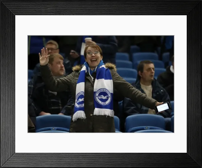 Framed Print : Passionate Fans Clash: Brighton & Hove Albion vs Ipswich Town in EFL Sky Bet Championship (14 February 2017) Framed Print : Passionate Fans Clash: Brighton & Hove Albion vs Ipswich Town in EFL Sky Bet Championship (14 February 2017)
