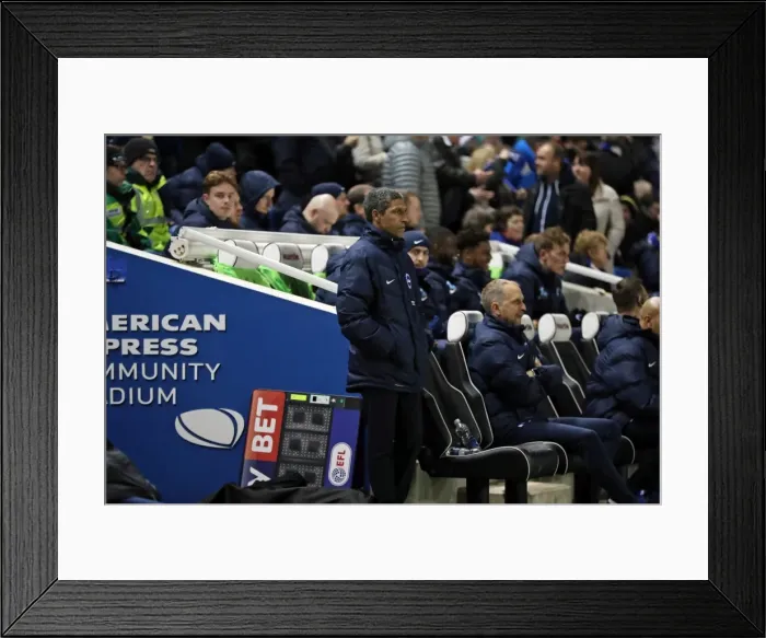 Framed Print : Chris Hughton Leads Brighton and Hove Albion in EFL Sky Bet Championship Clash against Ipswich Town, February 2017 Framed Print : Chris Hughton Leads Brighton and Hove Albion in EFL Sky Bet Championship Clash against Ipswich Town, February 2017